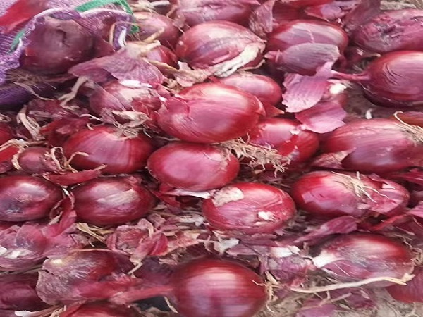 紫洋蔥供應商